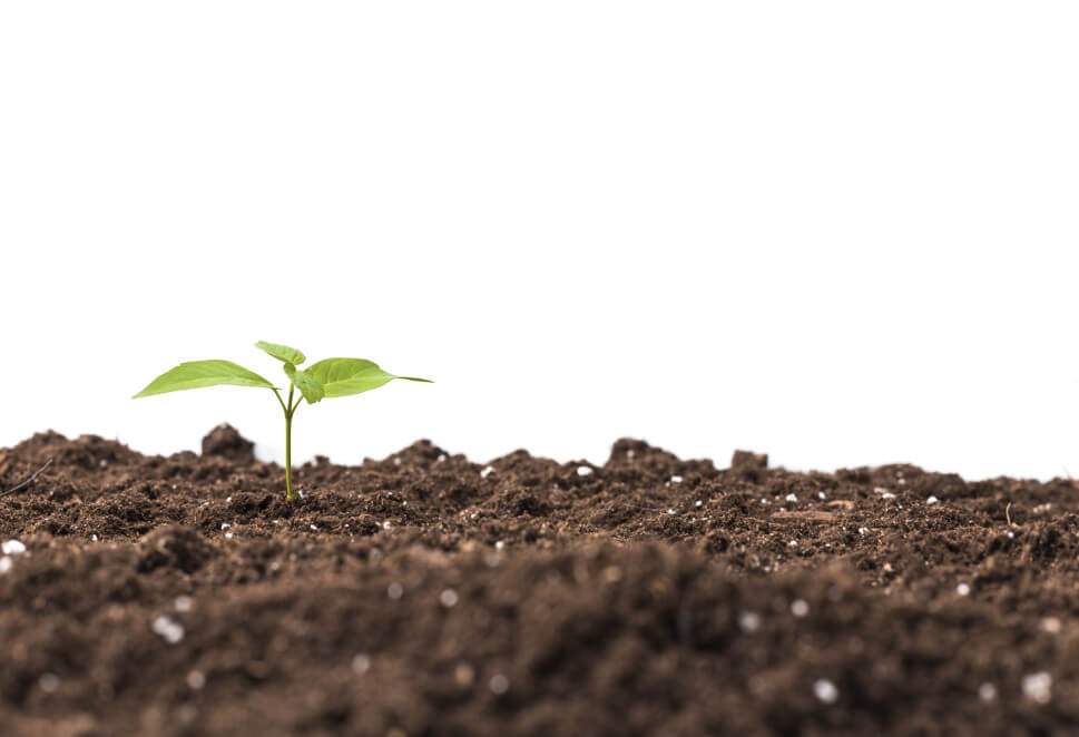 soil-research