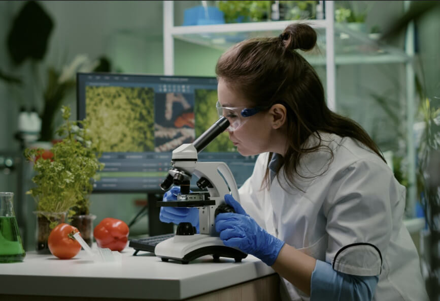 plant-research
