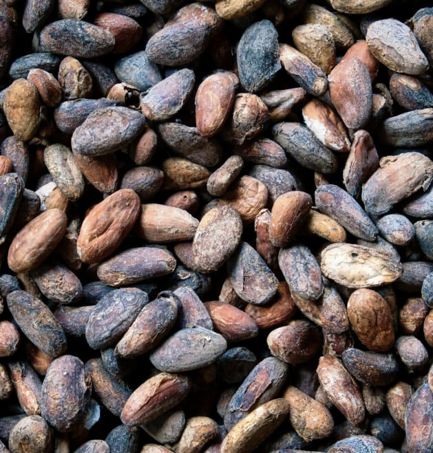 vochtanalyse-in-cacao