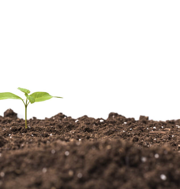 soil-research